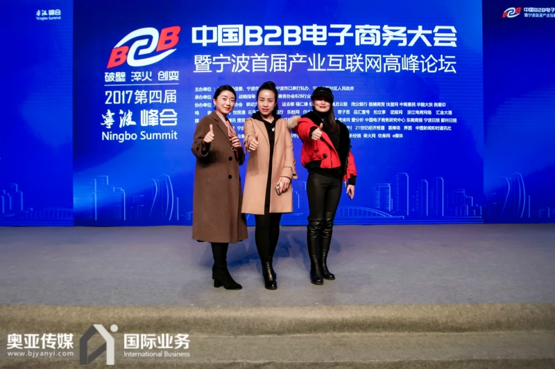 中國B2B電子商務大(dà)會